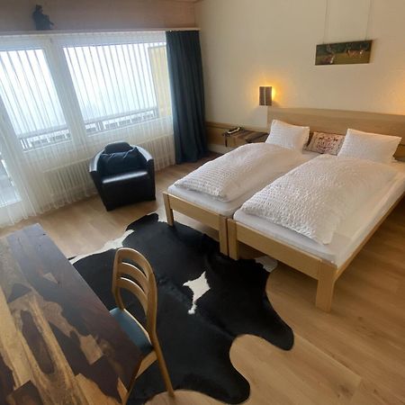 Baernsicht Panorama Hotel 瓦森 外观 照片